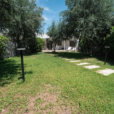 Degli Ulivi